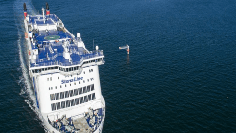 Stena cruise line