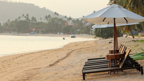 a wooden bench sitting on top of a sandy beach