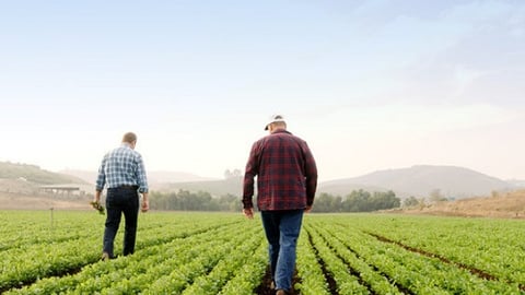 a man standing next to a green field