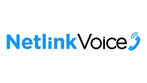 Netlink voice logo