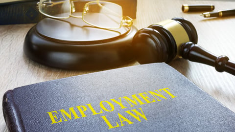 employment law gavel