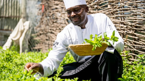 Kempinski ESG Report - Man picking herbs