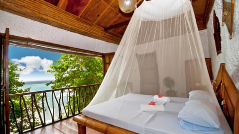 Resort Guest Room with Mosquito net over the bed