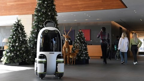 hyundai delivery robot