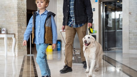 hotel guests walking into lobby with family dog