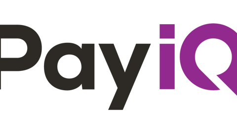 PayiQ logo