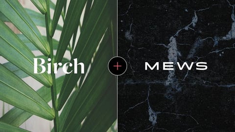 Birch and Mews logos