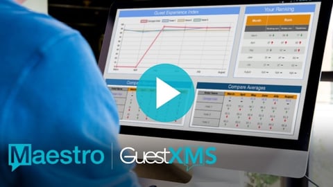 screenshot of guest maestro xms