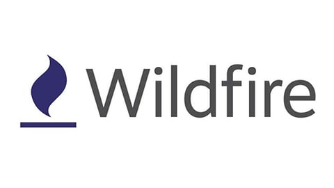 Wildfire Systems Logo