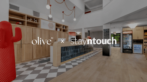 BOB Hotels, Olive, Stayntouch