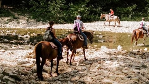 horseback riding