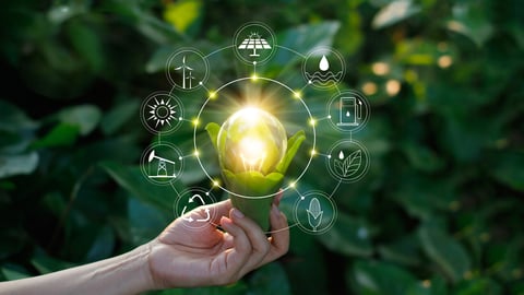 Hand holding light bulb against nature on green leaf with icons energy sources for renewable, sustainable development. Ecology concept. Elements of this image furnished by NASA.; Shutterstock ID 767486674