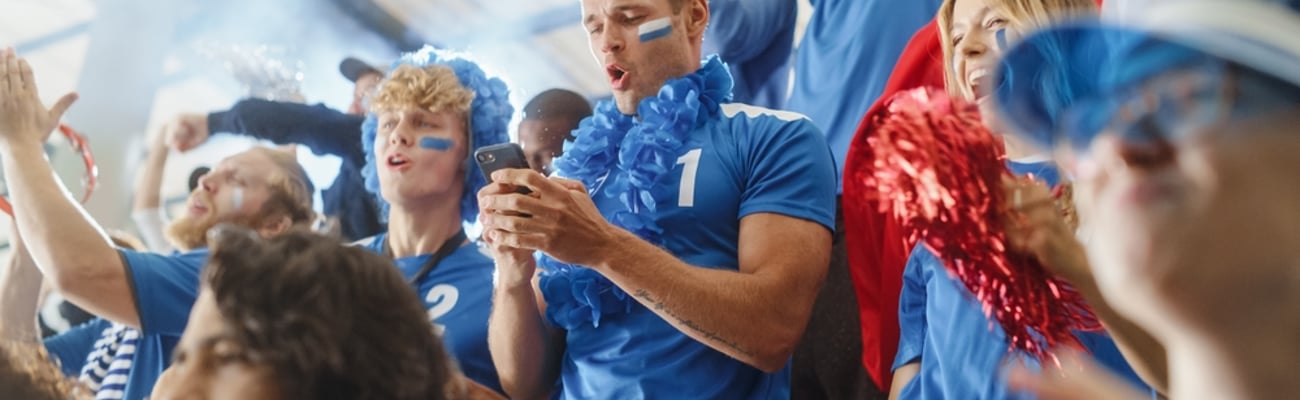 sports stadium fan with cell phone