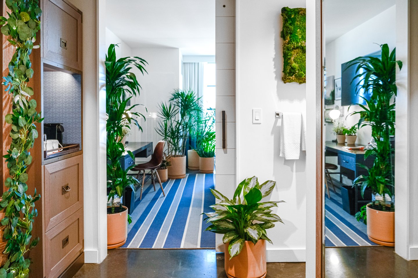 a hotel guest room filled with furniture and plants