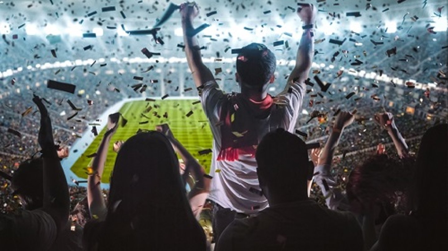 football stadium fan cheering