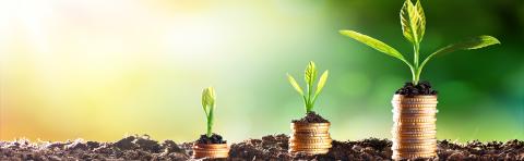 Hotels green initiatives