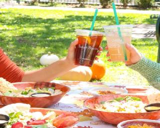 a plate of food on a picnic table