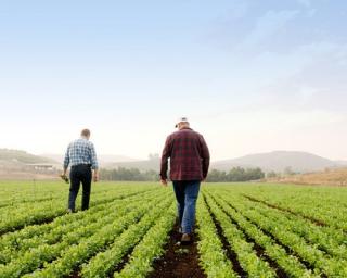 a man standing next to a green field