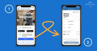 intelity mobile app