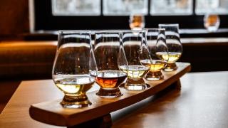distillery glasses of liquor