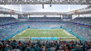 Miami Dolphins fans