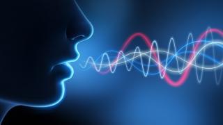 voice