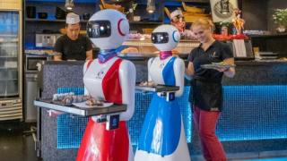 robot servers