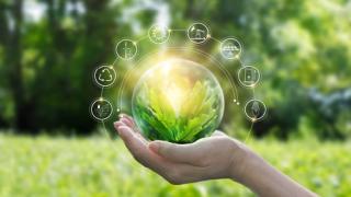 sustainable earth friendly green globe