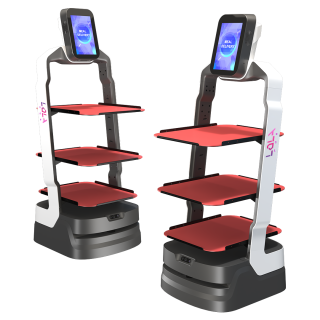 LOLA Matradee L server robot