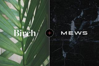 Birch and Mews logos