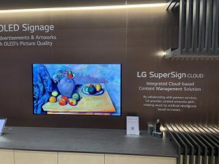 LG television displaying artplayer's artwork