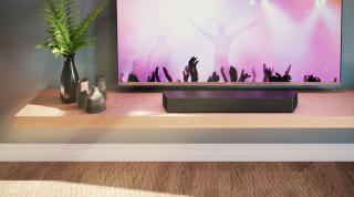 Philips Professional Soundbar 