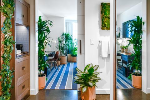 a hotel guest room filled with furniture and plants
