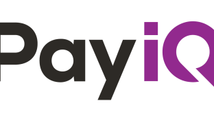 PayiQ logo