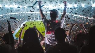 football stadium fan cheering